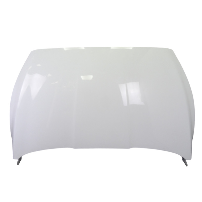 BLANCO MORRO COMPLETO FORD S-MAX (CDR)