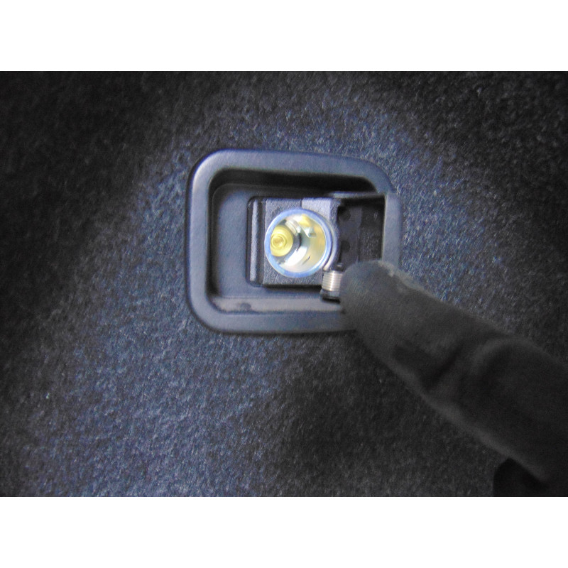 7289011-08 GUARNECIDO PORTON TRASERO BMW SERIE 3 BERLINA (F30)