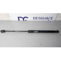 7148346 AMORTIGUADORES CAPO BMW SERIE X5 (E70) 7148346 AMORTIGUADORES CAPO BMW SERIE X5 (E70)