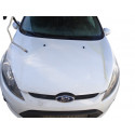 CAPO FORD FIESTA (CB1) Ambiente 2010 215108 FORD - 1