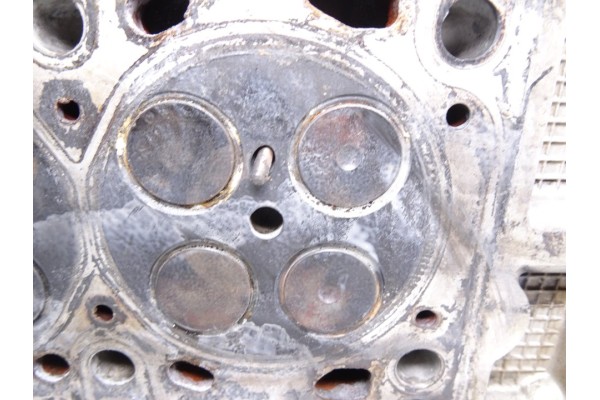 55188595 CULATA FIAT I DOBLÒ CARGO 1.3 JTD SX Furgón 2007 55188595 213120 FIAT - 5