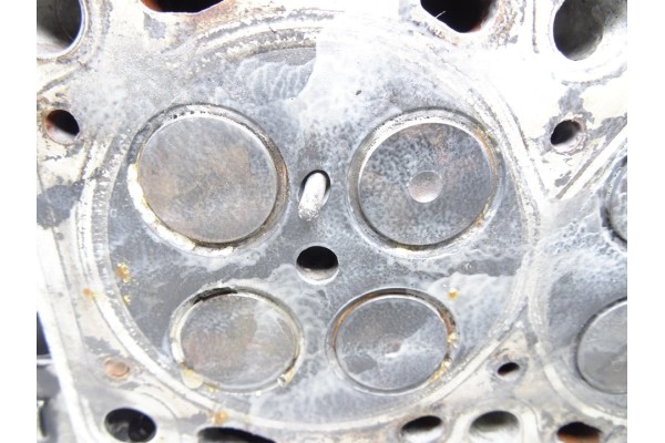 55188595 CULATA FIAT I DOBLÒ CARGO 1.3 JTD SX Furgón 2007 55188595 213120 FIAT - 7