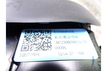 A31005R0100 PILOTO TRASERO DERECHO INTERIOR MG ZS