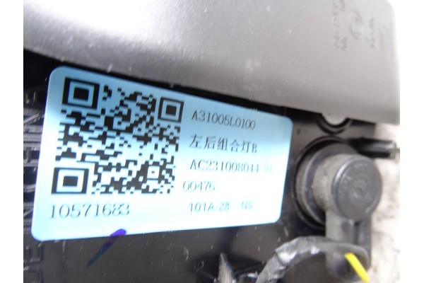 A31005L0100 PILOTO TRASERO IZQUIERDO INTERIOR MG ZS