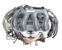 WJY MOTOR COMPLETO PEUGEOT PARTNER (S2) Combiespace 2006 WJY 215854 PEUGEOT - 8