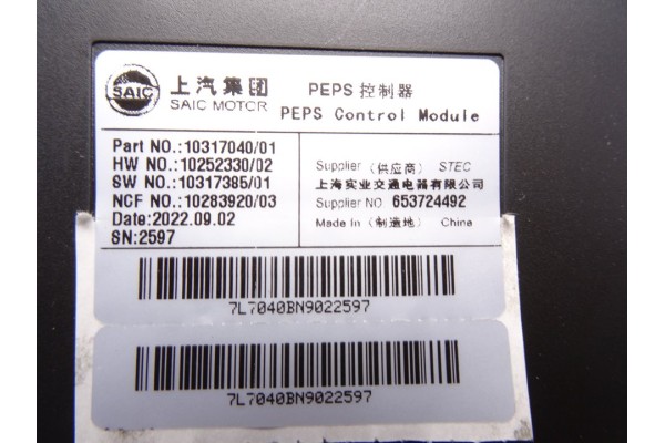 10317040 MODULO ELECTRONICO MG HS LUXURY 2023 10317040 216333 MG - 1