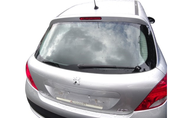PORTON TRASERO PEUGEOT 207