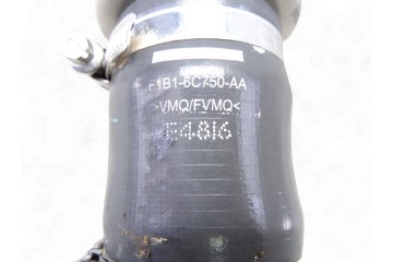 F1B16C750AA TUBO FORD FOCUS SPORTBREAK (CEW) Business 2017 F1B16C750AA 217497 FORD - 1