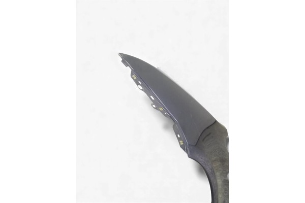 ALETA DELANTERA IZQUIERDA FORD C-MAX (CB3)(2007)