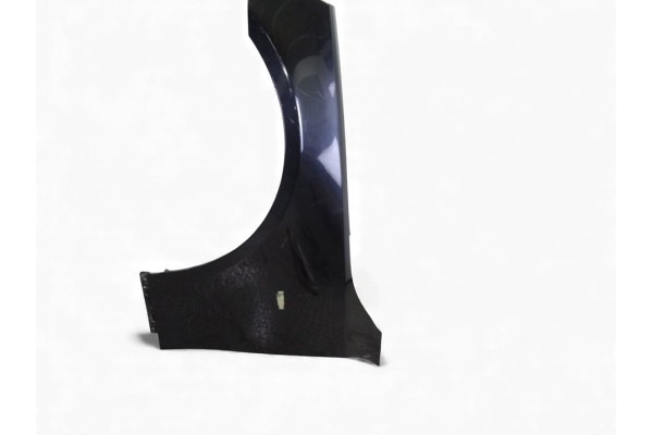 NEGRA ALETA DELANTERA IZQUIERDA BMW SERIE 5 BERLINA (E60)