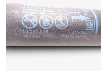 13247949 AMORTIGUADORES MALETERO / PORTON OPEL INSIGNIA SPORTS TOURER