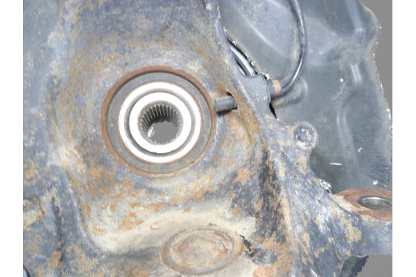 MANGUETA DELANTERA IZQUIERDA BMW SERIE 5 BERLINA (E60)