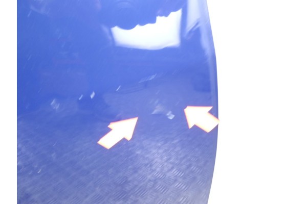 PUERTA TRASERA DERECHA SEAT IBIZA (6P1)