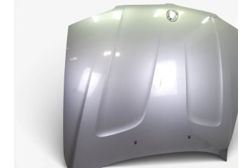 SILBERGRAU METALLIC CAPO BMW SERIE X3 (E83)