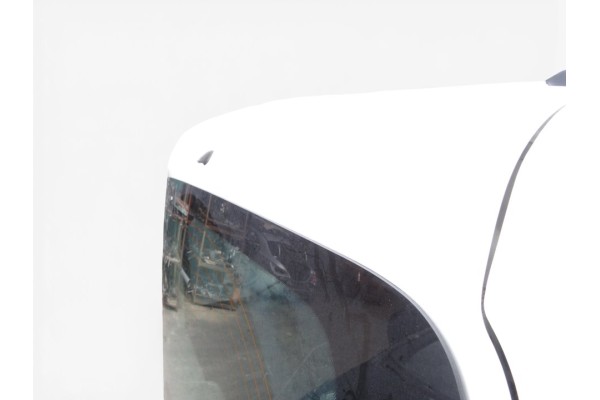 PORTON TRASERO FIAT II DOBLÒ (263) CARGO