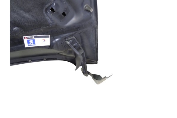 NEGRO CAPO PEUGEOT 308