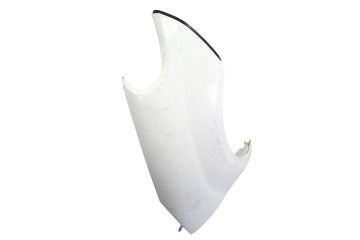 BLANCA ALETA DELANTERA DERECHA FIAT II DOBLÒ (263) CARGO