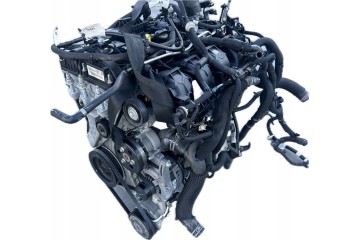 Motor Completo 2.0 ECOBOOST FORD ESPACE MJ6E-6007-NA 8,000 km Versión