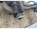 REAR BEAM AXLE SUSPENSION REAR BRIDGE IVECO DAILY 2 3 JAN POZNAN Car type passenger cars