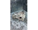 Rear differential Ford USA EXPLORER 2020 L1MW4000DC