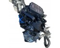Motor Completo Fiat Panda III 3 1.0 Mild Hybrid 46341162