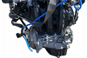 Motor Completo Fiat Panda III 3 1.0 Mild Hybrid 46341162
