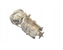 Renault Master III 2017 Manual 6 speed gearbox Catalog number of the part 320108045R