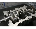 Motor Kia Hyundai 1.6 GDi G4FD con Cigüeñal, Pistones y Bomba de Ace
