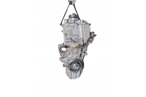 Volkswagen Golf VI 2010 Engine Catalog number of the part CAX
