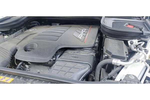 ENGINE GLE 53AMG 256930
