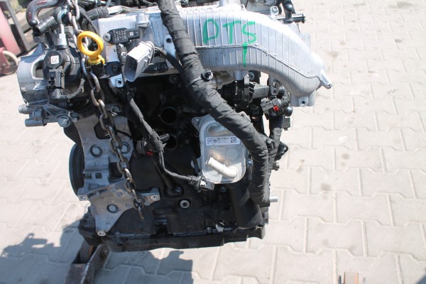 ENGINE COMPLETE VW SKODA 2 0 TDI DTS Car type passenger cars