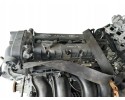 Ford 1 6 16v engine