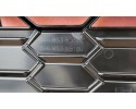 Dummy radiator GRILL Audi A5 F5 8W6 QUATTRO Lift 19 Camera Shadow NEW Version American