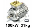 Electric motor 100kW boat yacht motorboat car quad buggy