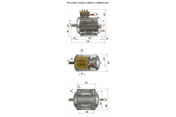 Electric motor 100kW boat yacht motorboat car quad buggy Car type passenger cars