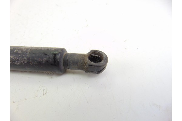 3400379 AMORTIGUADORES MALETERO / PORTON BMW SERIE X3 (E83)
