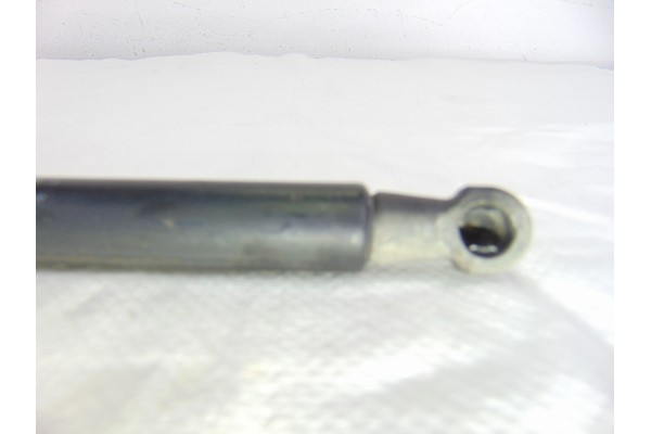 51778432  AMORTIGUADORES MALETERO / PORTON FIAT III EVO PUNTO (199) Dynamic 2011 51778432 204070 FIAT - 1