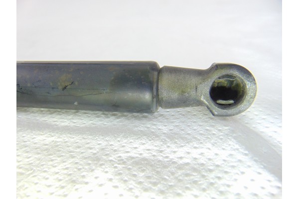 51778432  AMORTIGUADORES MALETERO / PORTON FIAT III EVO PUNTO (199) Dynamic 2011 51778432 204071 FIAT - 1