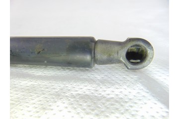 51778432  AMORTIGUADORES MALETERO / PORTON FIAT III EVO PUNTO (199) Dynamic 2011 51778432 204071 FIAT - 1