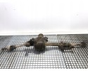 BRIDGE DYFER FRONT SUZUKI GRAND VITARA AND 2 0 92KM 98 06 TRANSMISSION Product weight with unit packaging 10 kg