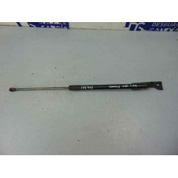 9813913880 AMORTIGUADORES MALETERO / PORTON CITROEN C4 CACTUS