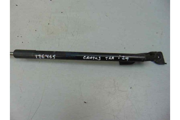 9813913880 AMORTIGUADORES MALETERO / PORTON CITROEN C4 CACTUS Shine 2018 9813913880 176465 CITROEN - 2