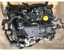 RENAULT KOLOS II HIT III 2 0 DCI 2 0 DCI M9RZ716 ENGINE COMPLETE 19 23 Catalog number of the part RENAULT M9RZ716