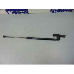 9813913880 AMORTIGUADORES MALETERO / PORTON CITROEN C4 CACTUS