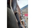 Bomba de Inyección Motor 2.0 TDI 110CV CBDC VW Golf VI Passat B6