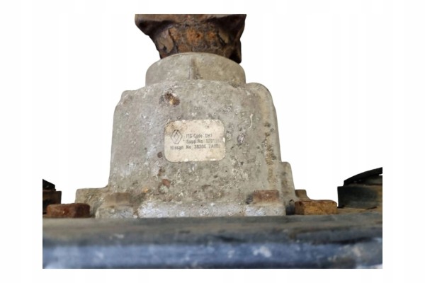 Rear differential Renault Kangoo I 383002A000 Car type passenger cars