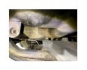 2461280 SCANIA Engine