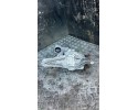 Rear differential Audi Q5 GUB 2025 0B050043S Part manufacturer Audi OE