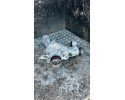 Rear differential Audi Q5 GUB 2025 0B050043S Car type undefined