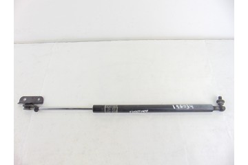  AMORTIGUADORES CAPO SUBARU FORESTER (S12/SH) XS Classic 2010 196034 SUBARU - 1